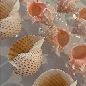 Set of 9 -Pink Sea Shell Martini Cocktail Glass